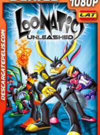 Loonatics Unleashed Temporada 1 (2005) 1080p WEB-DL Latino