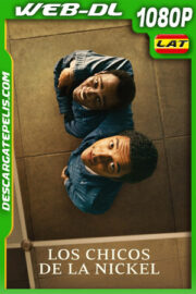 Los chicos de la Nickel (2024) 1080p WEB-DL Latino