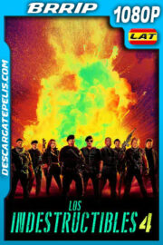 Los indestructibles 4 (2023) 1080p BRRip Latino