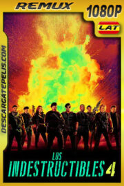 Los indestructibles 4 (2023) 1080p Remux Latino