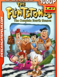 Los Picapiedra Temporada 4 (1963) 1080p WEB-DL Latino