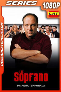 Los Soprano Temporada 1 (1999) 1080p WEB-DL Latino