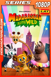 Madagascar Algo Salvaje Temporada 1 (2020) 1080p WEB-DL Latino