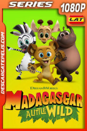 Madagascar Algo Salvaje Temporada 2 (2020) 1080p WEB-DL Latino
