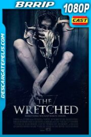 Madre Oscura (2019) 1080p BRRip Castellano