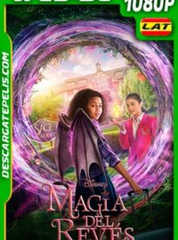 Magia del revés (2020) 1080p WEB-DL Latino
