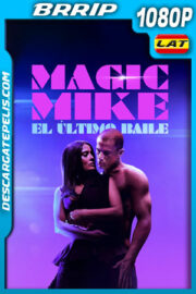 Magic Mike: El último baile (2023) 1080p BRrip Latino