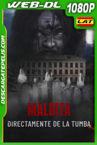 Maldita: Directamente de la tumba (2019) 1080p WEB-DL Latino