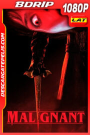 Maligno (2021) 1080p BDRip Latino