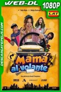 Mamá al volante (2019) 1080p WEB-DL Latino