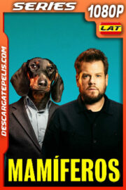 Mamíferos Temporada 1 (2022) 1080p WEB-DL AMZN Latino