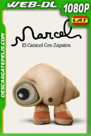 Marcel el caracol con zapatos (2021) 1080p WEB-DL Latino