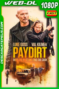 Más allá de la ley (2020) 1080p WEB-DL