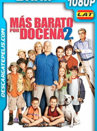Más Barato por Docena 2 (2005) 1080p BRrip Latino