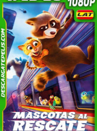 Mascotas al rescate (2025) 1080p WEB-DL Latino
