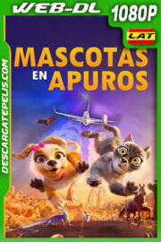 Mascotas en apuros (2024) 1080p WEB-DL Latino