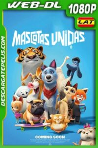 Mascotas unidas (2020) 1080p WEB-DL Latino – Ingles