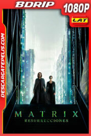 Matrix Resurrecciones (2021) 1080p BDRip Latino