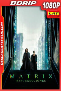 Matrix Resurrecciones (2021) 1080p BDRip Latino