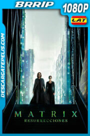 Matrix Resurrecciones (2021) 1080p BRRip Latino