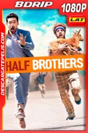 Medios Hermanos (2020) 1080p BDrip Latino