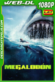 Megalodón (2018) 1080p WEB-DL Latino