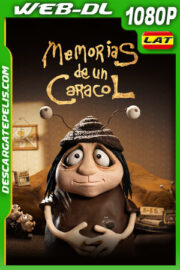 Memorias de un caracol (2024) 1080p WEB-DL Latino