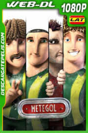 Metegol (2013) 1080p WEB-DL Latino