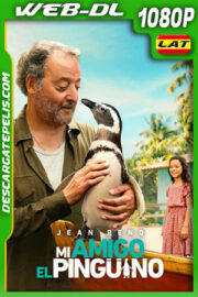 Mi amigo el pingüino (2024) 1080p WEB-DL Latino