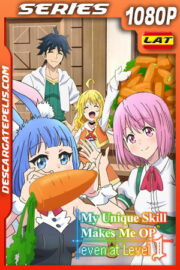 Mi habilidad especial me hace invencible incluso a nivel 1 Temporada 1 (2023) 1080p WEB-DL Latino