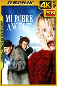 Mi pobre angelito (1990) 4K BDRemux HDR Latino – Ingles