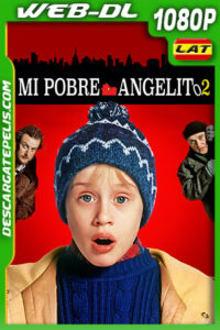 Mi pobre angelito 2: Perdido en Nueva York (1992) 1080p WEB-DL Latino