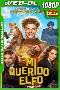 Mi Querido Elfo (2019) 1080p WEB-DL Latino