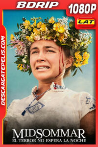 Midsommar: El terror no espera la noche (2019) 1080p BDrip Latino