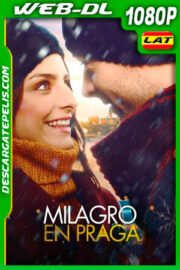 Milagro en Praga (2013) 1080p WEB-DL Latino