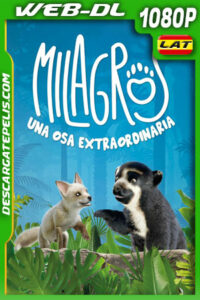 Milagros: Una osa extraordinaria (2023) 1080p WEB-DL Latino