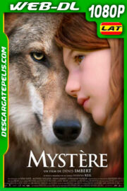 Misterio (2021) 1080p WEB-DL Latino