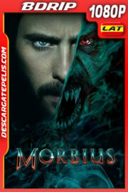 Morbius (2022) 1080p BDRip Latino
