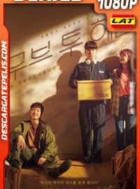 Mudanzas al cielo (2021) Temporada 1 1080p WEB-DL Latino