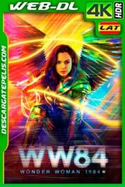 Mujer Maravilla 1984 (2020) IMAX 4k WEB-DL HDR Latino