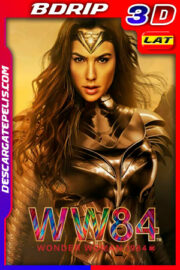 Mujer Maravilla 1984 (2020) IMAX 1080p 3D BDRip Latino