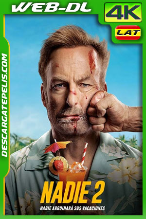 Nadie 2 (2025) 4k WEB-DL SDR Latino
