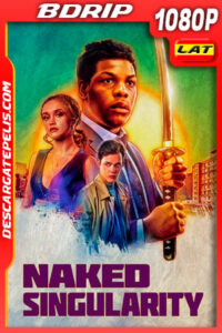 Singularidad en Justicia (2021) 1080p BDrip Latino