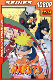 Naruto (2002) Temporada 1 1080p WEB-DL Latino