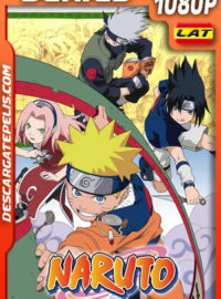 Naruto (2002) Temporada 1 1080p WEB-DL Latino