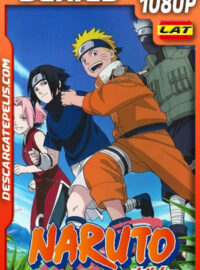 Naruto (2007) Temporada 2 1080p WEB-DL Latino