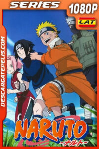 Naruto (2007) Temporada 2 1080p WEB-DL Latino