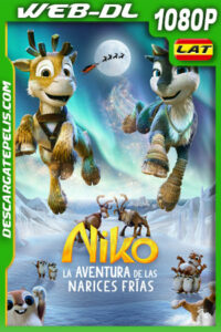 Niko: La aventura de las narices frías (2024) 1080p WEB-DL Latino