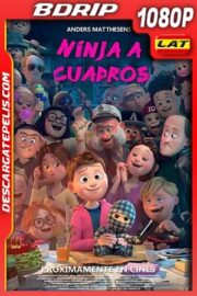 Ninja a cuadros (2018) 1080p BDrip Latino