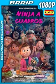 Ninja a cuadros (2018) 1080p BRrip Latino